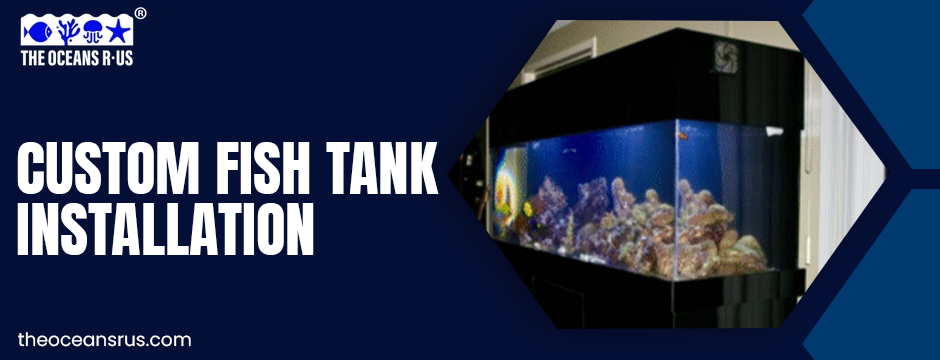 custom fish tank installation