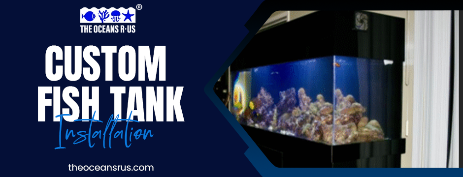 custom aquarium installation