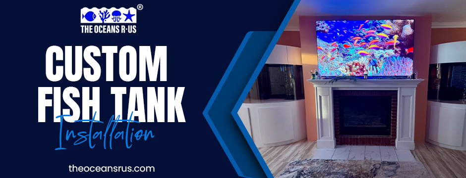 custom fish tank installation