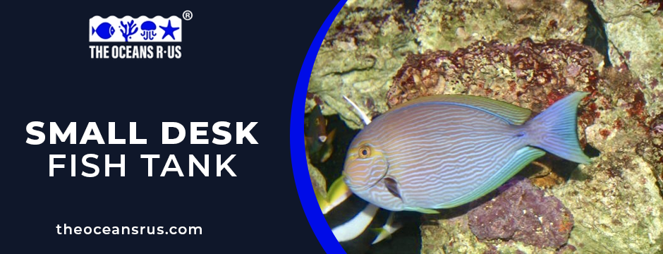 small desk fish tank