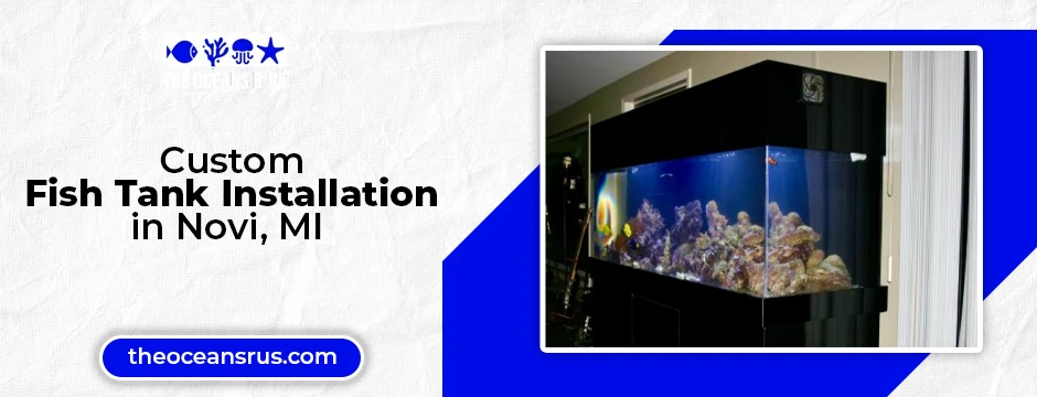 custom fish tank installation in Novi, MI
