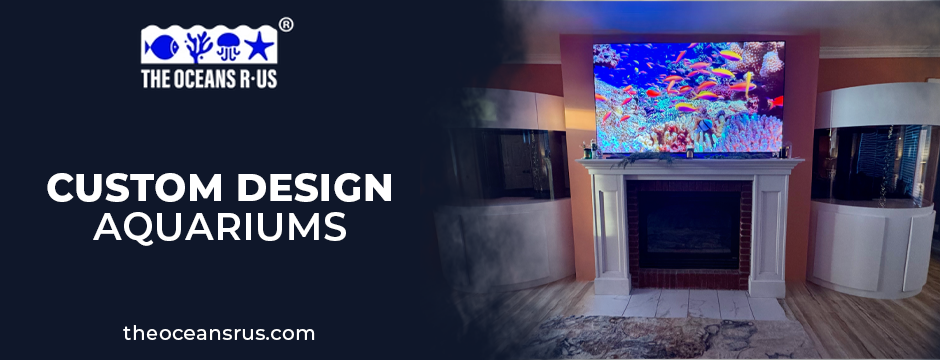 custom design aquariums
