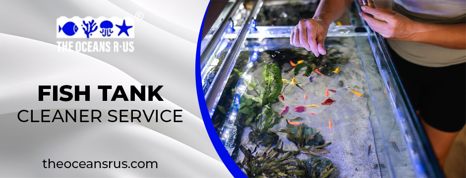 fish tank cleaner service